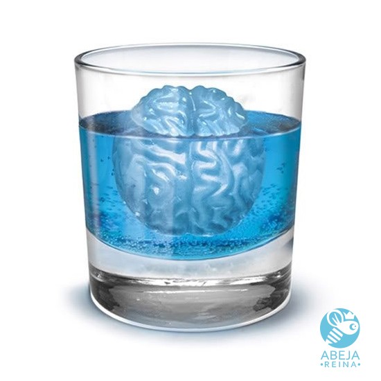 hielera-cerebro04
