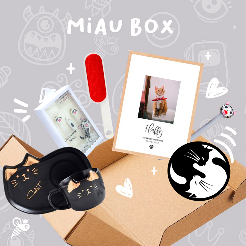 miau-box
