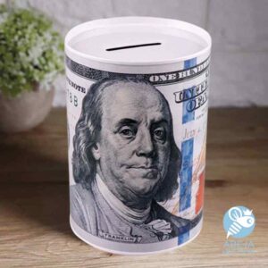 Alcancía metal Dólar