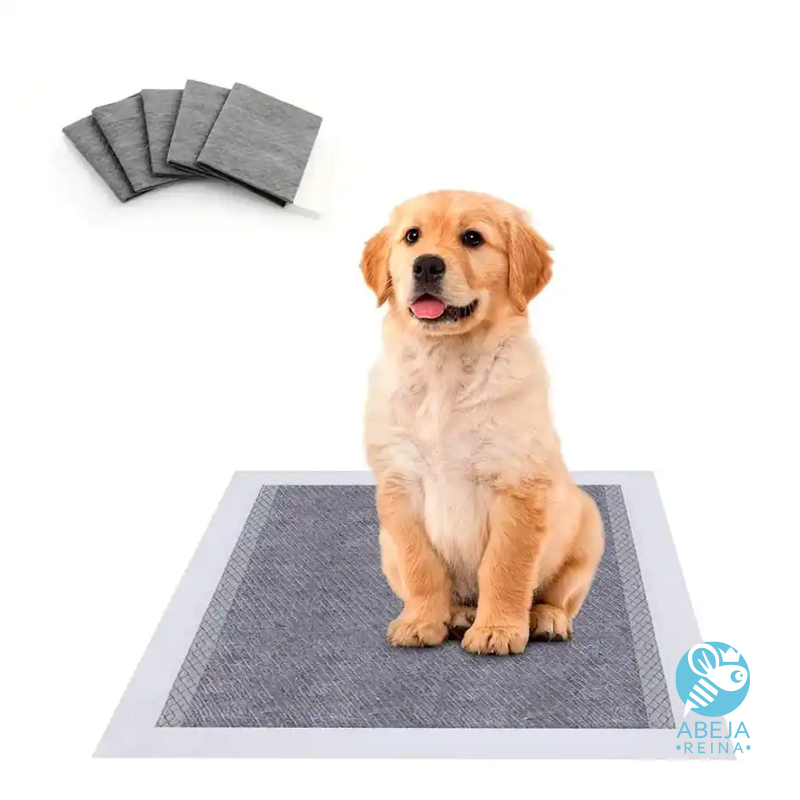 Pañales de piso absorbentes desechables para perros talla XL